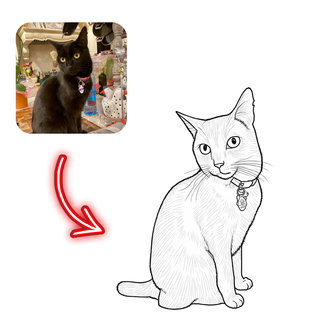 Black cat with a pink collar on the left, red arrow pointing to a white cat with a pink collar on the right.