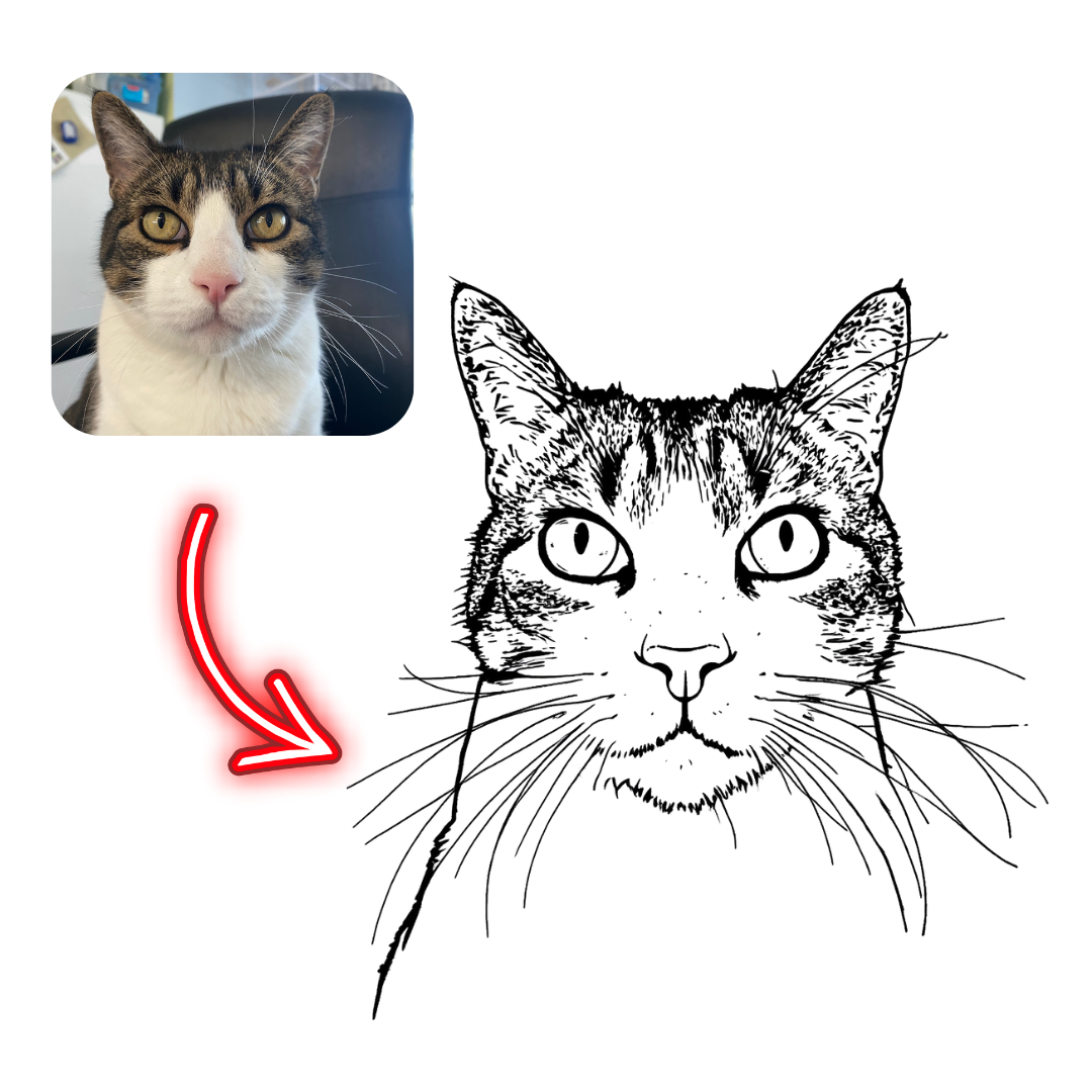 Cat with a black and white illustration of itself, and a red arrow pointing to the illustration.