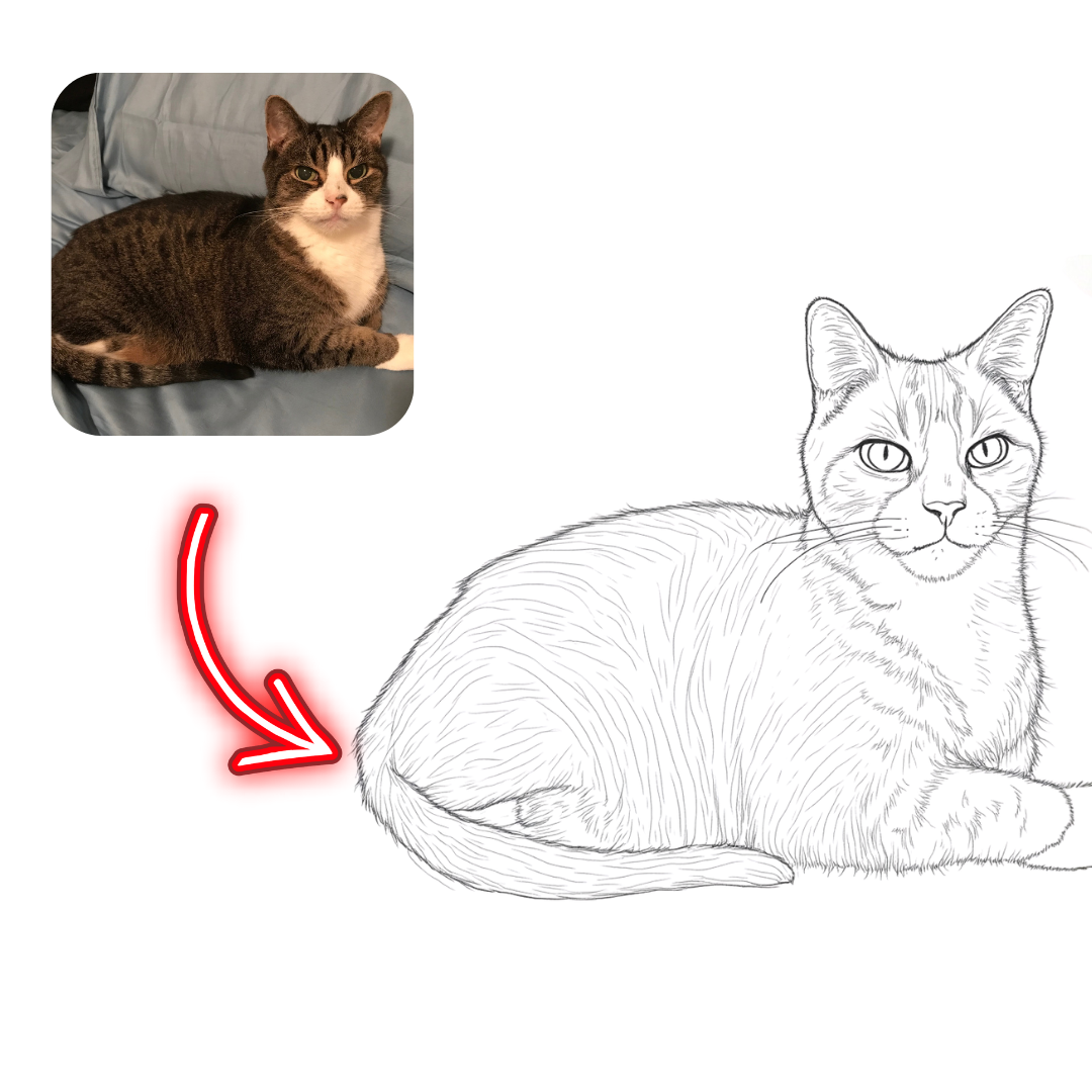 Cat illustration with a photo of a cat in the corner