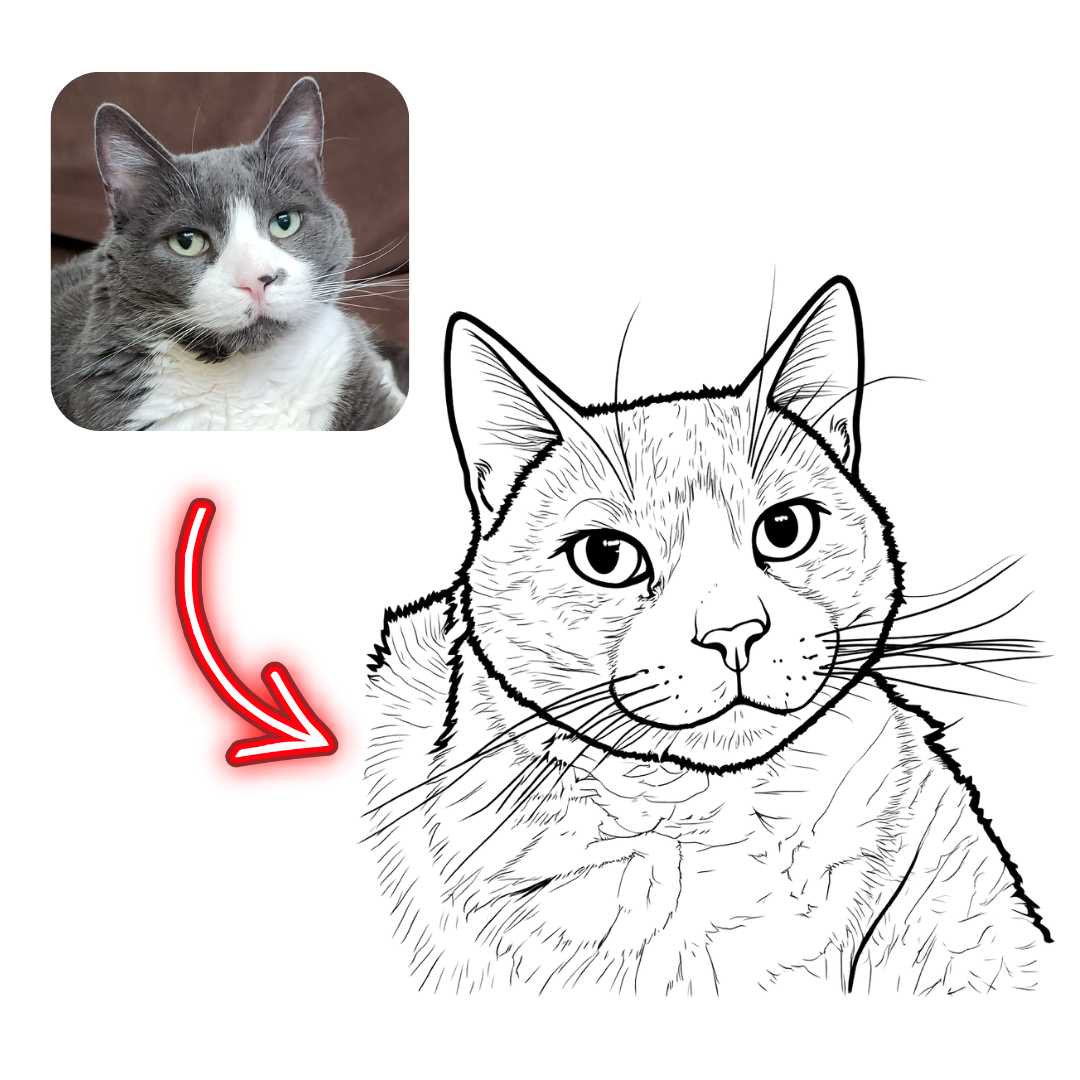 Cat photo on the left with a line drawing of the same cat on the right, highlighted by a red arrow.