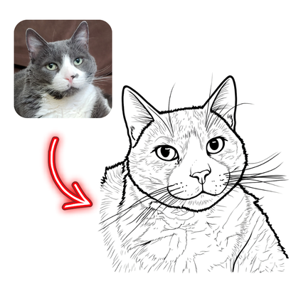 Cat photo on the left with a line drawing of the same cat on the right, highlighted by a red arrow.